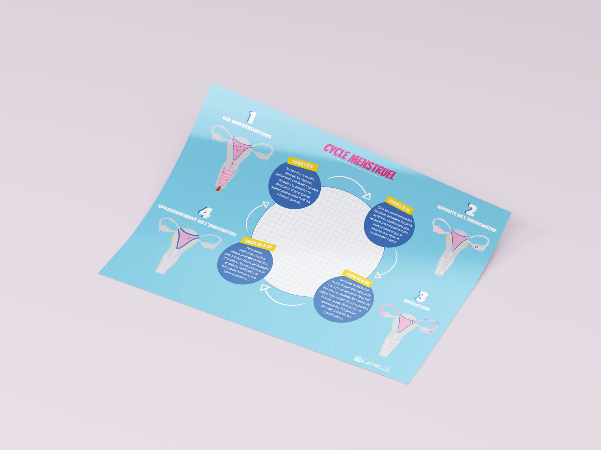 page explicative du cycle des règles